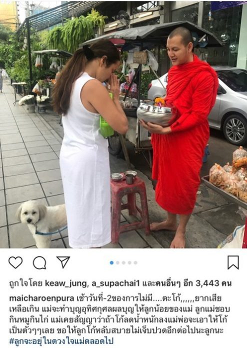 ใหม่ ใส่บาตรอุทิศกุศลให้ตะโก้