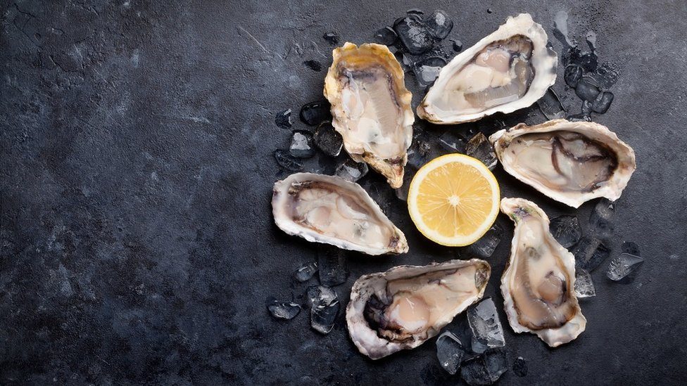 Opened oysters and lemon over ice on stone table. Half dozen.