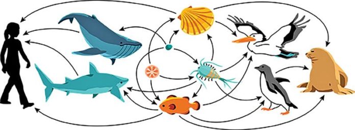 Environmental Biology of Fishes.