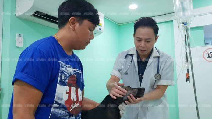 โหดกับหมา