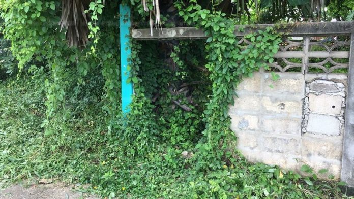 โจรบุกห้องน้ำ ช่องที่คนร้ายมุดเข้าไปก่อเหตุในโรงเรียน
