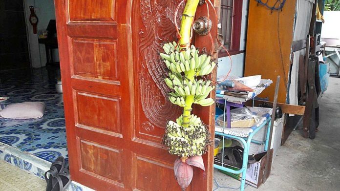 ชาวบ้านแห่ตีเลขเด็ด เจ้าของเชื่อมาให้โชคลาภ