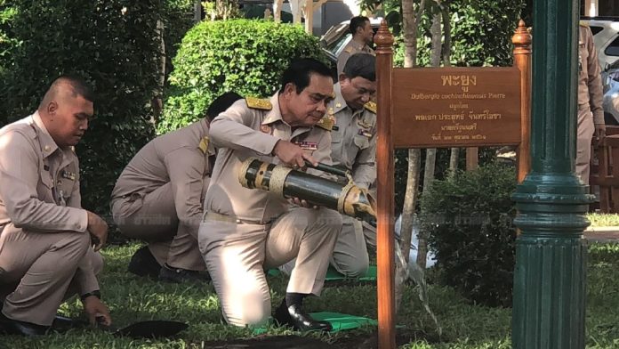 สุดหนุงหนิง!
