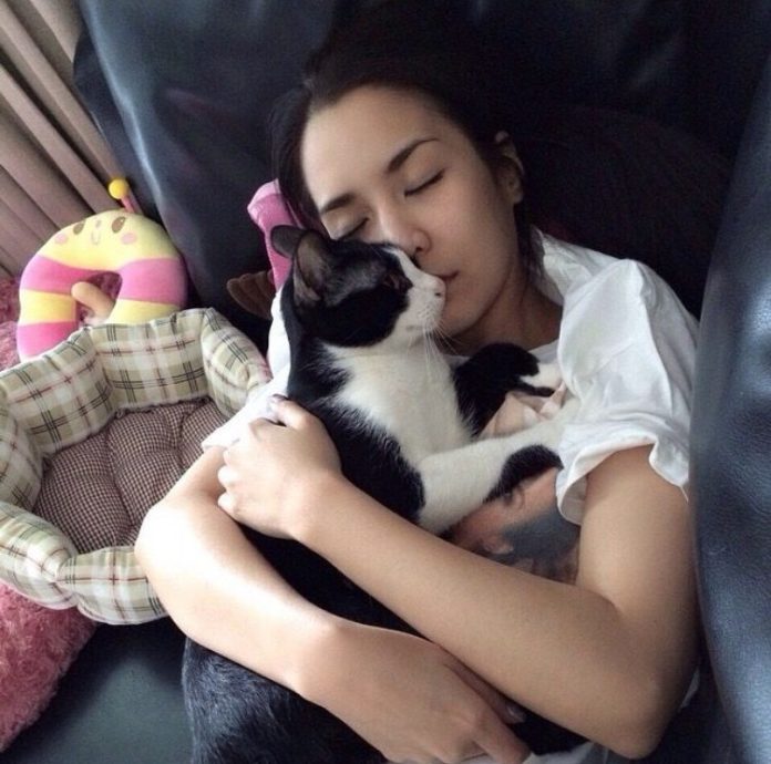 จั๊กจั่น