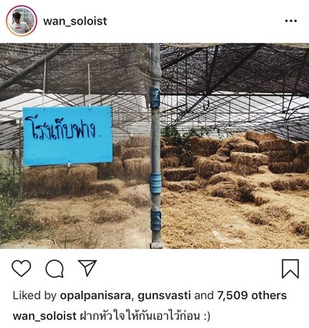ว่าน ว่าน