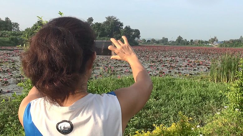 ทุ่งบัวแดงบ้านหนองสำรอง