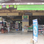 ยางพารา 3 โล ซื้อหมู 1 โล ยังไม่ได้! ชาวสวนตัดใจโค่นทิ้ง สุดช้ำโดนกดราคาอีก