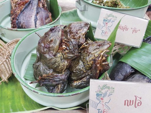 อาหารชนเผ่า เสน่ห์แห่งขุนเขา : ข่าวสดหรรษา