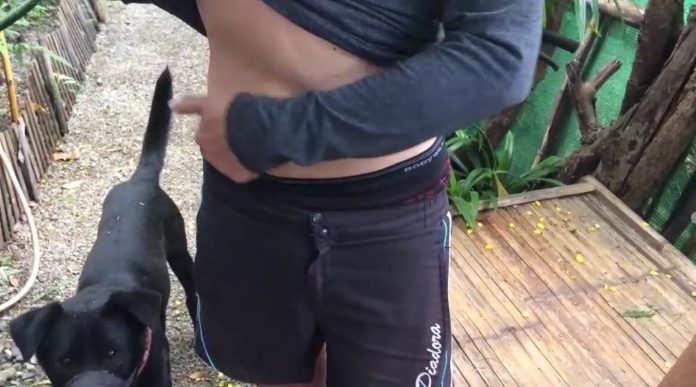 บอม หลบมุม