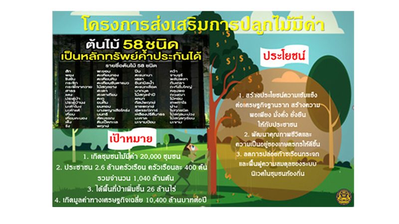 ต้นไม้ 58 ชนิดค้ำกู้เงิน รู้ไปโม้ด