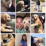 สาวร่ำไห้แทบขาดใจ ตูบแสนรักที่เลี้ยงมา 8ปี ถูกเพื่อนบ้านใจโหด วางยา