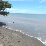 ปอดแห่งใหม่! อ.หาดสำราญ จ.ตรัง ขึ้นแท่นเมืองคุณภาพอากาศดีที่สุดในเมืองไทย
