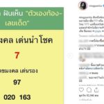 "หนิง ปณิตา" โชว์เลขเด็ด หลังฝันว่าท้อง แฟนคลับแห่จด งวดนี้ต้องซื้อ