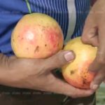 ตร.ยังอึ้ง! บุกจับแก๊งโจรเวียดนาม เจอกำลังทำน้ำทับทิมผสมสีส่งโรงแรมทั่วพัทยา(คลิป)
