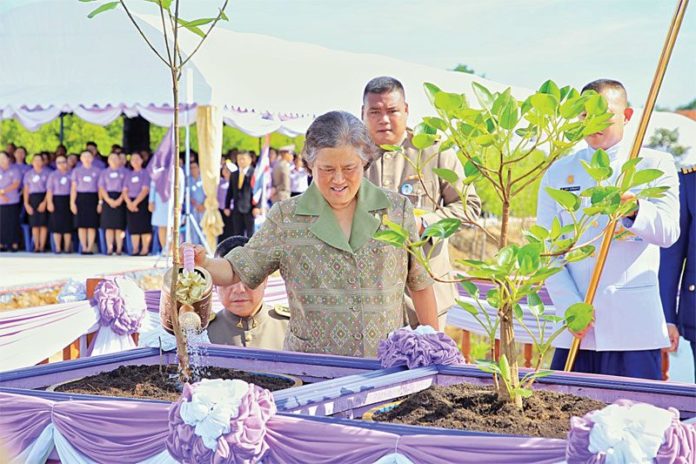 หลากหลาย : สวนพฤกษศาสตร์ป่าชายเลนฯร.9 พิพิธภัณฑ์มีชีวิตแห่งแรกของโลก