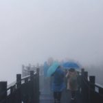 เยือนจางเจียเจี้ย-มรดกโลก ยํ่าสะพานแก้ว-หุบเขาอวตาร