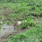 นึกว่าถุงขยะ! ผงะศพสาวนิรนาม ถูกยิงทิ้งลอยอืดกลางคลองชลประทาน