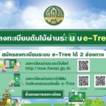 กรมป่าไม้ เผย แอพฯ 'อี-ทรี' ทำเกษตรกรไทยตื่นตัว! หันปลูกไม้เศรษฐกิจเฉียดแสนต้น