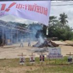 ยกระดับเผาทุกอำเภอ! ชาวสวนปาล์มกระบี่ ประท้วงรัฐบาล เร่งแก้ราคาตก
