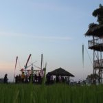 จุดเช็คอินใหม่ นั่งเกวียน ชมทุ่ง สัมผัสวิถีชีวิตไท-ยวน ที่บ้านแพะ  ราชบุรี