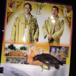นกเอี้ยงแสนรู้! เคารพภาพพระบรมฉายาลักษณ์ในหลวง ก่อนเข้านอนทุกวัน