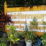 น้ำท่วม สำนักวิปัสสนา แม่ชีพาหมาคนมาทิ้ง 50 ตัว หนีน้ำทุลักทุเล