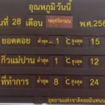 หนาวสุดในรอบปี! เชียงใหม่ยะเยือกติดลบ แห่ขึ้นดอยสัมผัสหนาว-ชมเหมยขาบ