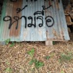 อย่ารังแกน้อง! ชาวบ้านโอด โจรใจอำมหิต ขโมยชามข้าวหมาจรจัด