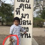 คุณแม่วุ่น! โพสต์ตามหาตุ๊กตาให้ลูกชาย ชาวเน็ตเห็นใจแชร์เป็นหมื่น "น้องเน่า" ใครก็รัก!