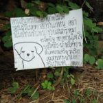 อย่ารังแกน้อง! ชาวบ้านโอด โจรใจอำมหิต ขโมยชามข้าวหมาจรจัด