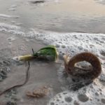 ควันหลงลอยกระทง ตะปูเกลื่อนชายหาด นักท่องเที่ยวเสี่ยงอันตราย