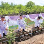 หลากหลาย : สวนพฤกษศาสตร์ป่าชายเลนฯร.9  พิพิธภัณฑ์มีชีวิตแห่งแรกของโลก