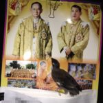 นกเอี้ยงแสนรู้! เคารพภาพพระบรมฉายาลักษณ์ในหลวง ก่อนเข้านอนทุกวัน