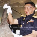 สั่งจำคุกอ่วม 2สาวไทย-รองอัยการ ลอบขนนอแรด 49 ล้าน เข้าไทย