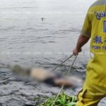 ชายวัย 52 เครียดโรครุม โดดเจ้าพระยา ฆ่าตัว ศพโผล่ใต้สะพานกรุงเทพ