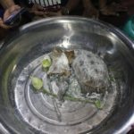 เต่าทองให้โชค! เข้าฝันบอกหวย ถูกเต็มๆ 25 ใบ! ชาวบ้านแห่ทาแป้งขอเลขเด็ด
