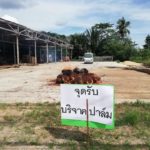 ชาวสวนปาล์มกระบี่ เผาผลน้ำมันปาล์ม จี้รัฐบาลแก้ไขปัญหาราคาตกต่ำ