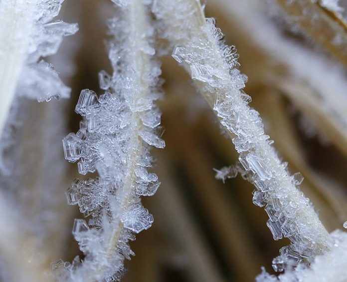 ชวนรู้จัก Hoar frost