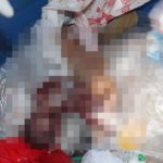 ภาพชัด! แม่สาวรีดลูกในท้อง ก่อนทิ้งลูกแฝดลงถังขยะ บ้านเอื้ออาทรสมุทรปราการ