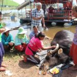 ที่เดียวในโลก! กระทิงป่าตาย ชาวบ้านแห่นำแป้งถูขอหวย พร้อมเผยเลขเด็ดที่ได้