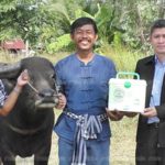ยิ้มแป้น! หนุ่มจ่ายเงินแสน ค่าตัว "เจ้าทองคำ" แถมได้ลูกควายอีกตัว