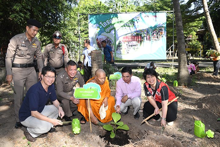 ข่าวสดปลูกสัก-ตะเคียน