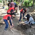 ข่าวสดปลูกสัก-ตะเคียน ครั้งที่10 วัดโตนด อยุธยา - มอบทุนการศึกษาด้วย
