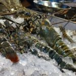 ร้านซีฟู้ดแจงแล้ว ปมกุ้งเผาตัวละ 1,000 บาท สุดเซ็งเพิ่งจบเรื่องกรรเชียงปูจานละ 650 บาท