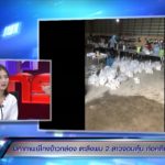 แฉมหากาพย์ข้าวหมื่นกล่อง หลอกยันญาติตัวเอง สูญนับ 10 ล้าน