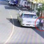 ขับยังไง! สาวเดินในชุมชน ถูกกระบะ พุ่งชนร่างลอย คนขับหนีไป ไม่เหลียวแล (มีคลิป)