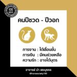 ดวง 12 ปีนักษัตรเดือนพ.ย. ปีไหนจะเสียทรัพย์-มีหนี้ ปีใดมีคนจ้องคิดร้าย