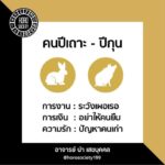 ดวง 12 ปีนักษัตรเดือนพ.ย. ปีไหนจะเสียทรัพย์-มีหนี้ ปีใดมีคนจ้องคิดร้าย