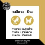 ดวง 12 ปีนักษัตรเดือนพ.ย. ปีไหนจะเสียทรัพย์-มีหนี้ ปีใดมีคนจ้องคิดร้าย