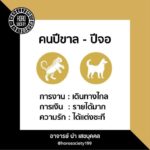 ดวง 12 ปีนักษัตรเดือนพ.ย. ปีไหนจะเสียทรัพย์-มีหนี้ ปีใดมีคนจ้องคิดร้าย